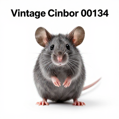 Mouse Vintage Cinza 00134