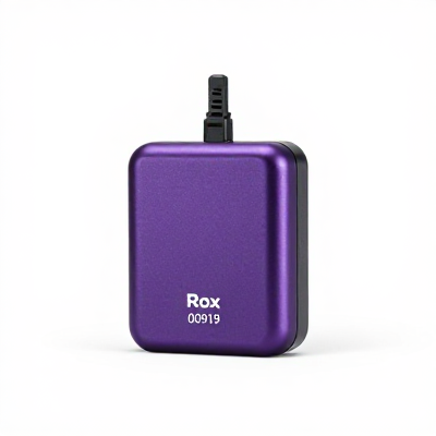 Carregador Smart Roxo 00919