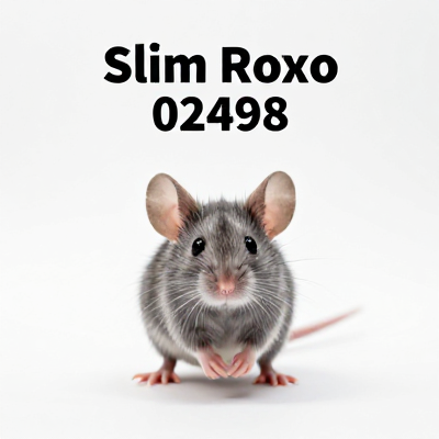 Mouse Slim Roxo 02498