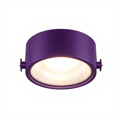 Luminária Pro Roxo 00969