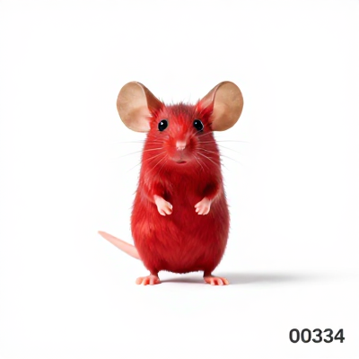 Mouse Slim Vermelho 00334