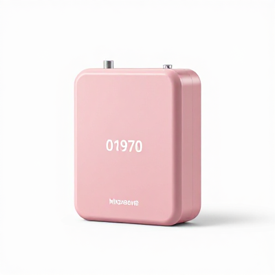 Carregador Moderno Rosa 01970