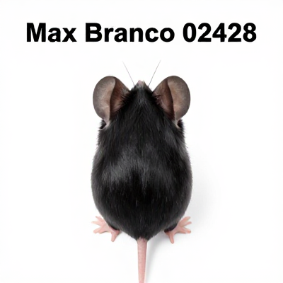 Mouse Max Branco 02428
